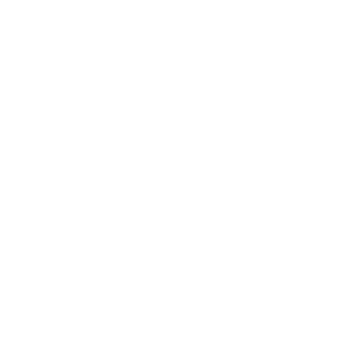 Propaganda Store